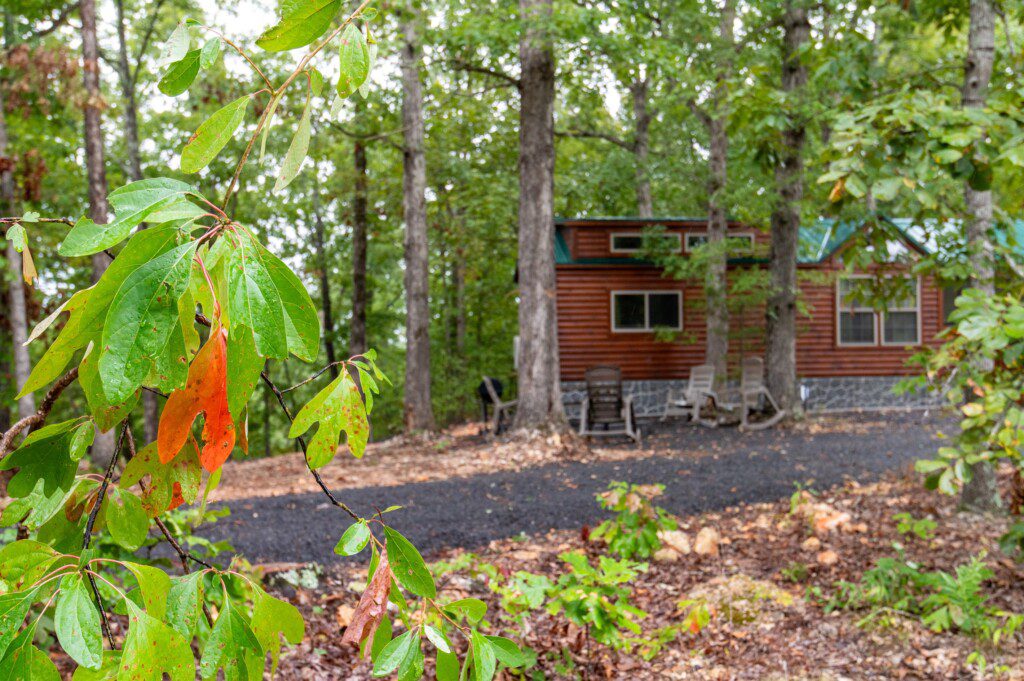 3965ffa72b414bbe827fd114b994d4b1 LargeOriginal.jpg