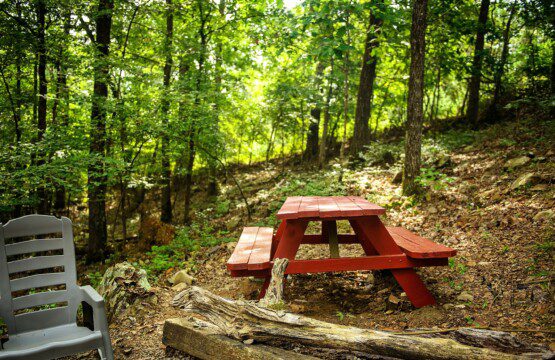 9801a3e0f2a34d9da6eec535b87140ec LargeOriginal.jpg